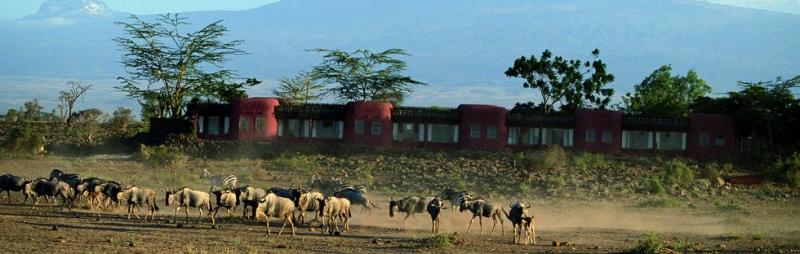 4. Click here to zoom image 4Aloha Tours And Safaris